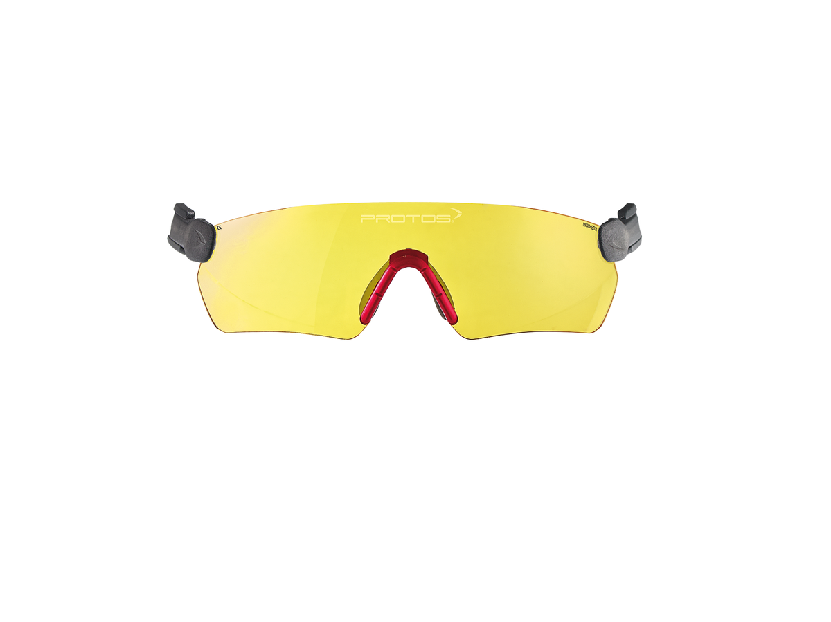 Protos® Schutzbrille